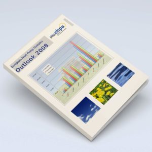 2008 market report